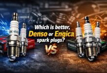 شمع دنسو یا انجیکا کدام بهتر است؟