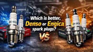 شمع دنسو یا انجیکا کدام بهتر است؟